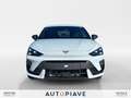 CUPRA Leon Leon 2.0 TDI 150 CV DSG Blanc - thumbnail 8