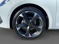 CUPRA Leon Leon 2.0 TDI 150 CV DSG Blanc - thumbnail 47