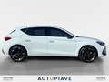 CUPRA Leon Leon 2.0 TDI 150 CV DSG Blanc - thumbnail 6