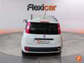 Fiat Panda 1.2 Easy Blanco - thumbnail 4