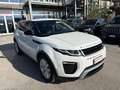 Land Rover Range Rover Evoque 2016 5p 2.0 td4 SE  Dynamic 150cv auto Bianco - thumbnail 3