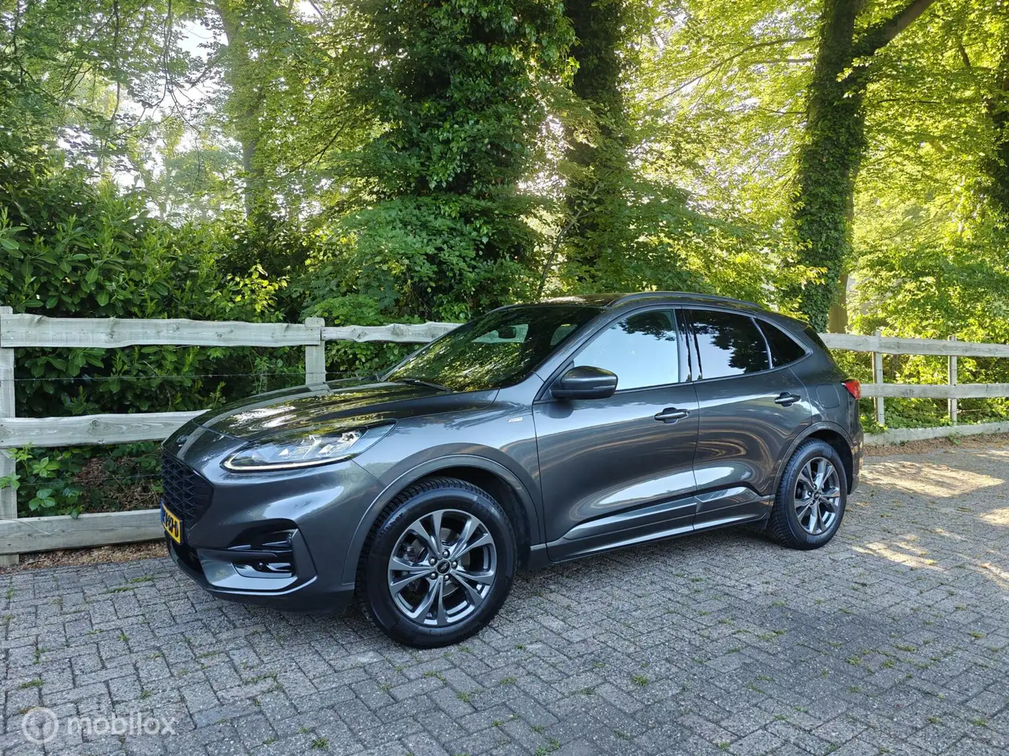 Ford Kuga 1.5 EcoBoost ST-Line Grijs - 2
