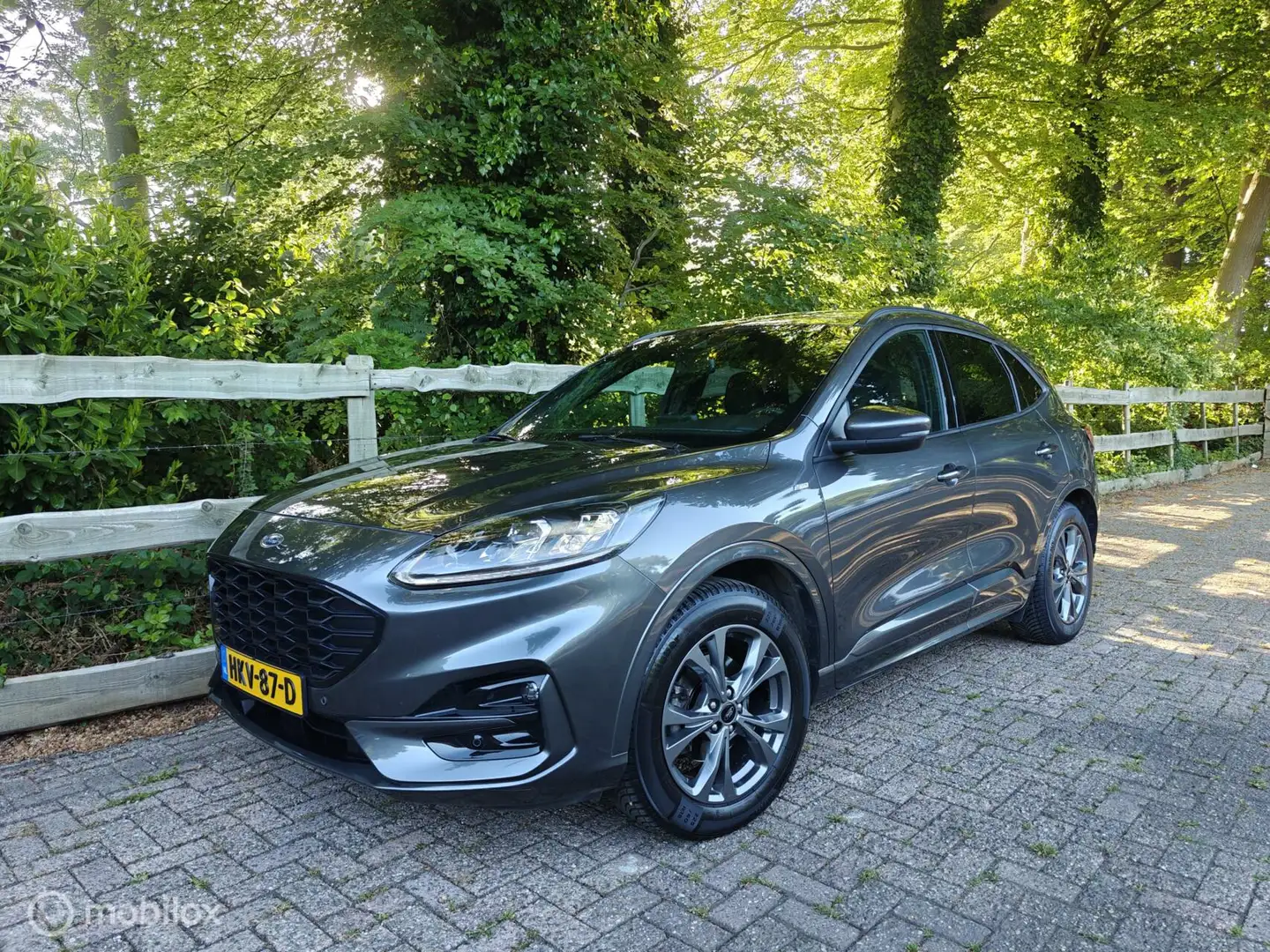 Ford Kuga 1.5 EcoBoost ST-Line Grijs - 1