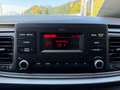 Kia Rio Rio 1,25 MPI Titan ISG Gris - thumbnail 10