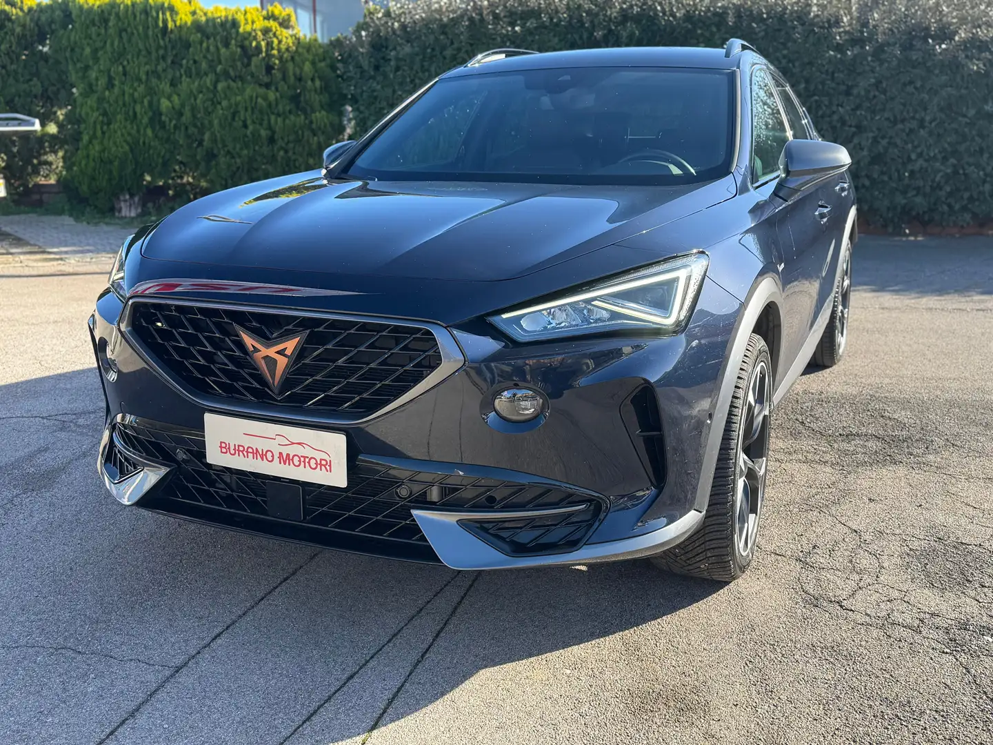 CUPRA Formentor Formentor 2.0 tdi 150cv Blau - 2