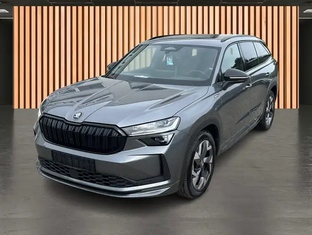 Skoda Kodiaq view 2