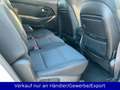Kia Carens 1.7 CRDi Spirit Klimaaut. Navi PDC Sitzhe Weiß - thumbnail 12