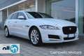 Jaguar XF XF Sportbrake 2.0 D 180cv AWD aut. R-Sport Bianco - thumbnail 1