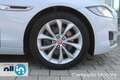 Jaguar XF XF Sportbrake 2.0 D 180cv AWD aut. R-Sport Bianco - thumbnail 19
