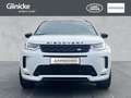 Land Rover Discovery Sport D200 AWD R-Dynamic SE 7-Sitzer Weiß - thumbnail 8