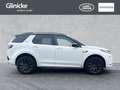 Land Rover Discovery Sport D200 AWD R-Dynamic SE 7-Sitzer Weiß - thumbnail 6