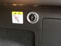 Ford Kuga Kuga 2,0 TDCi ST-Line Powershift Aut. AWD ST-Line Grau - thumbnail 19