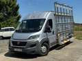 Fiat Ducato 2.3 Multijet L3-H2 GALERIE LATERALE CHASSIS/TVAC Blanc - thumbnail 1