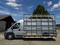 Fiat Ducato 2.3 Multijet L3-H2 GALERIE LATERALE CHASSIS/TVAC Blanc - thumbnail 4