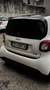 smart forTwo Cabrio 0.9 t Prime 90cv Bianco - thumbnail 4