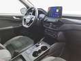 Ford Kuga 2.0 EcoBlue Aut. ST-LINE X AHZV LED ACC Silber - thumbnail 16