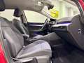 Volkswagen Golf Variant 1.0 eTSI Life DSG 81kW Burdeos - thumbnail 11