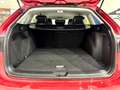 Volkswagen Golf Variant 1.0 eTSI Life DSG 81kW Burdeos - thumbnail 14