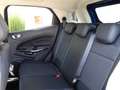 Ford EcoSport EcoSport 1.0 ecoboost Titanium s&s Neopatentati Blu/Azzurro - thumbnail 13
