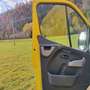 Renault Master Master L3H3 3,5t Energy Twin-Turbo dCi 165 Gelb - thumbnail 8