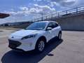 Ford Kuga 2.0 TDCi,M-HybridTitanium LED Nav Cam Virt Weiß - thumbnail 1