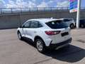 Ford Kuga 2.0 TDCi,M-HybridTitanium LED Nav Cam Virt Weiß - thumbnail 4