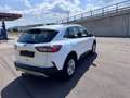 Ford Kuga 2.0 TDCi,M-HybridTitanium LED Nav Cam Virt Weiß - thumbnail 5