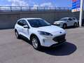 Ford Kuga 2.0 TDCi,M-HybridTitanium LED Nav Cam Virt Weiß - thumbnail 2