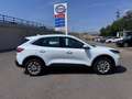 Ford Kuga 2.0 TDCi,M-HybridTitanium LED Nav Cam Virt Weiß - thumbnail 3