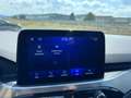 Ford Kuga 2.0 TDCi,M-HybridTitanium LED Nav Cam Virt Weiß - thumbnail 15
