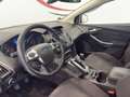 Ford Focus SW 1.6 tdci Titanium 115cv Blu/Azzurro - thumbnail 14