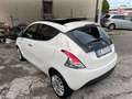 Lancia Ypsilon Ypsilon III 1.3 mjt Platinum s TETTO PANORAMICO - thumbnail 10