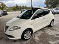 Lancia Ypsilon Ypsilon III 1.3 mjt Platinum s TETTO PANORAMICO - thumbnail 12