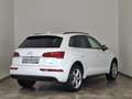 Audi Q5 40 TDI ultra quattro Sport Weiß - thumbnail 4