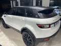 Land Rover Range Rover Evoque Range Rover Evoque I 2016 5p 2.0 td4 SE 150cv auto Bianco - thumbnail 6