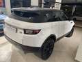 Land Rover Range Rover Evoque Range Rover Evoque I 2016 5p 2.0 td4 SE 150cv auto Bianco - thumbnail 5