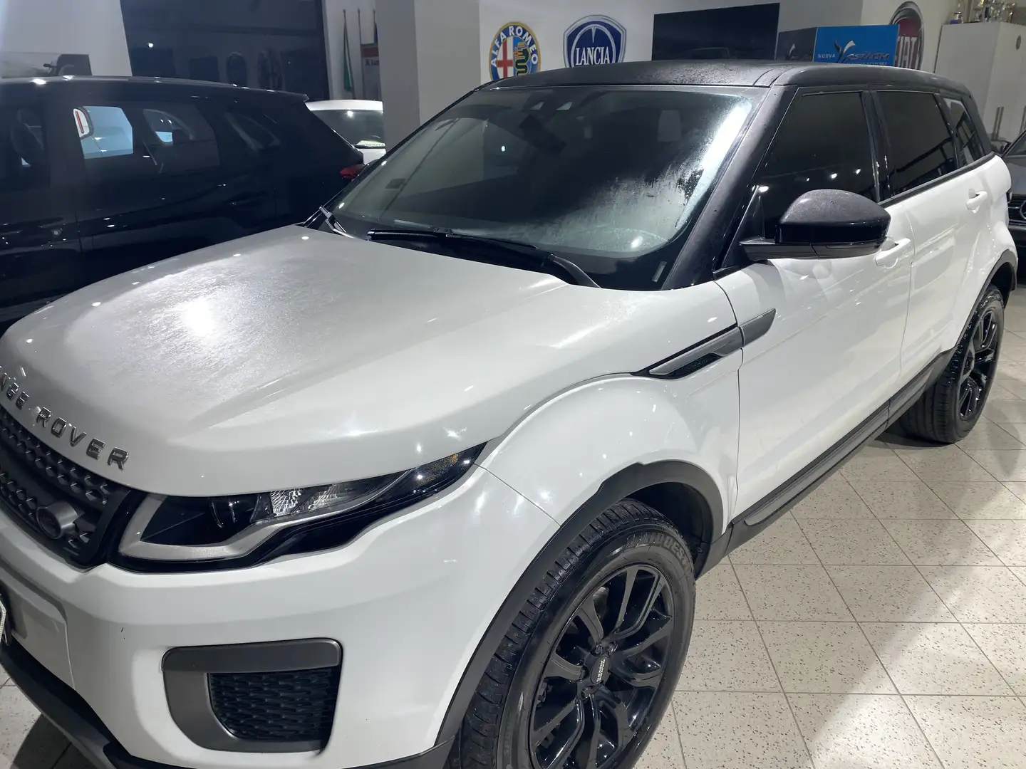 Land Rover Range Rover Evoque Range Rover Evoque I 2016 5p 2.0 td4 SE 150cv auto Bianco - 2