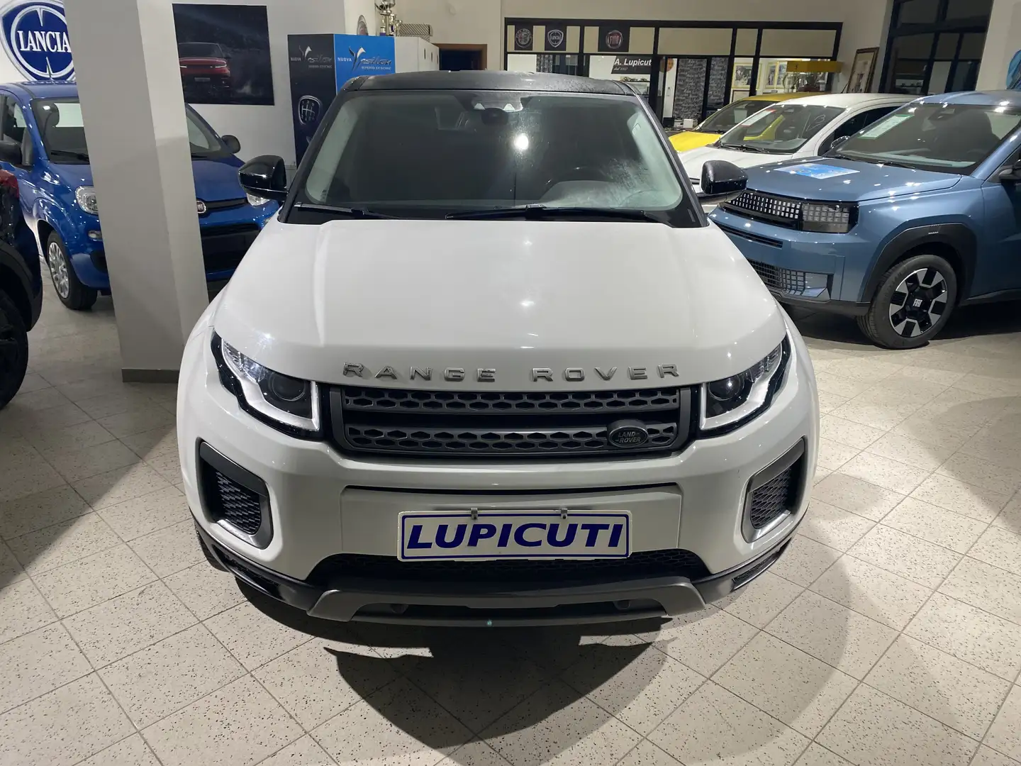 Land Rover Range Rover Evoque Range Rover Evoque I 2016 5p 2.0 td4 SE 150cv auto Bianco - 1