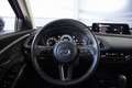 Mazda CX-30 2.5 e-Skyactive Homura 2WD LED/KAMERA/18 Z Grau - thumbnail 14