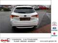 Toyota Corolla 2.0 Hybrid Touring Sports Team Deutschland Weiß - thumbnail 6