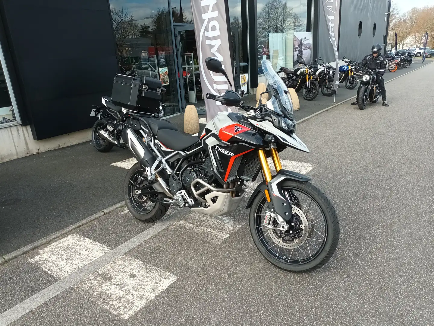 Triumph Tiger 900 - 1