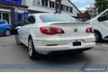Volkswagen Passat CC Exclusive DSG*Leder*SHZ*BT*Sport*Tempo Alb - thumbnail 5