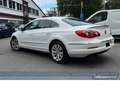Volkswagen Passat CC Exclusive DSG*Leder*SHZ*BT*Sport*Tempo Blanco - thumbnail 23