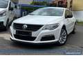 Volkswagen Passat CC Exclusive DSG*Leder*SHZ*BT*Sport*Tempo Alb - thumbnail 4