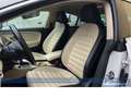 Volkswagen Passat CC Exclusive DSG*Leder*SHZ*BT*Sport*Tempo Alb - thumbnail 14