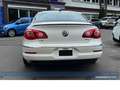 Volkswagen Passat CC Exclusive DSG*Leder*SHZ*BT*Sport*Tempo Blanco - thumbnail 24