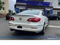 Volkswagen Passat CC Exclusive DSG*Leder*SHZ*BT*Sport*Tempo Blanco - thumbnail 19