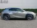 Lexus UX 250h Business Line+cam+nav+sens V&A Goud - thumbnail 3