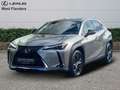 Lexus UX 250h Business Line+cam+nav+sens V&A Goud - thumbnail 1