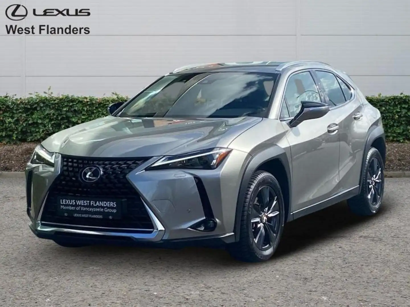 Lexus UX 250h Business Line+cam+nav+sens V&A Goud - 1
